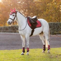 LeMieux Mini Suede Close Contact Square Pad 18 LeMieux Mini Suede Close Contact Square Pad -Farm House Tack Store 0177aa63 0f14 4fc6 a691 15d6bf61794d