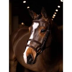 LeMieux Kudos Double Noseband Bridle 6 LeMieux Kudos Double Noseband Bridle -Farm House Tack Store 04b9e95ba85ecf9cf76f3f1b8ecbc450