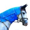 Carry-Cool Sport Horse Cooling Kit 2 Carry-Cool Sport Horse Cooling Kit -Farm House Tack Store 06e52fa6a77f6c1d405911ae00bc5dc5