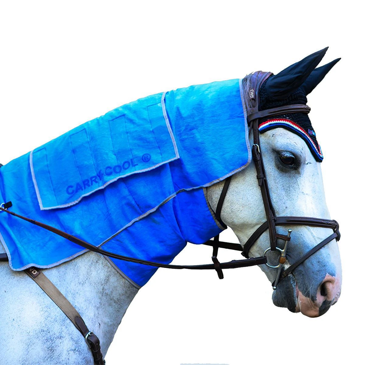 Carry-Cool Sport Horse Cooling Kit 3 Carry-Cool Sport Horse Cooling Kit
