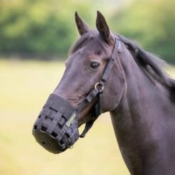 FreeGraze Comfort Grazing Muzzle 21 FreeGraze Comfort Grazing Muzzle -Farm House Tack Store 0cf1af93 9788 444e b35e 1a12eeaedc96