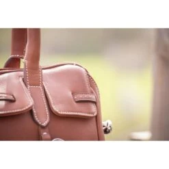 Penelope Maelys Bag 16 Penelope Maelys Bag -Farm House Tack Store 10246467fec25223d8e5d14fddfa12c7