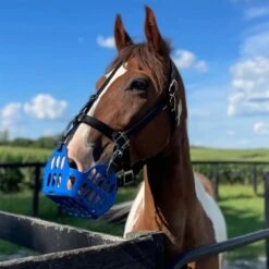 GG Equine GreenGuard Grazing Muzzle 13 GG Equine GreenGuard Grazing Muzzle -Farm House Tack Store 1055e3ba 4735 4be7 a84f 75d962345ed1