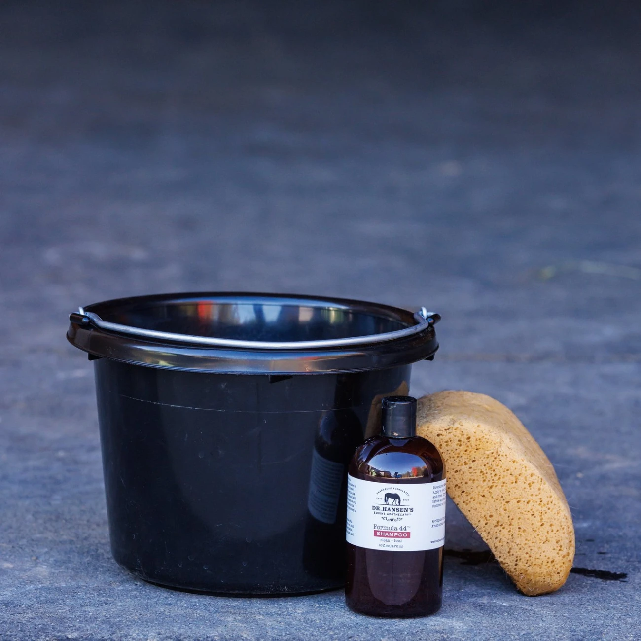 Dr. Hansen's Equine Apothecary Formula 44 Shampoo 4 Dr. Hansen's Equine Apothecary Formula 44 Shampoo - Image 2