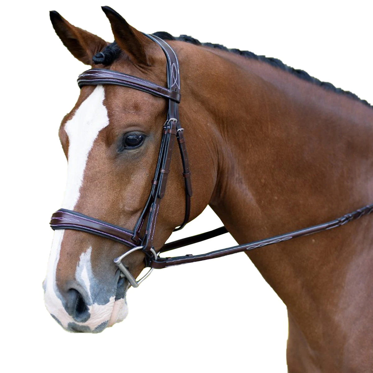 KL Select Hampton Bridle 3 KL Select Hampton Bridle