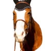 Equine Couture Fly Bonnet With Crystal