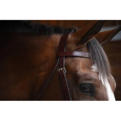 KL Select Italia Foxwell Hunt Bridle 7 KL Select Italia Foxwell Hunt Bridle -Farm House Tack Store 111104 06 KL Foxwell.Hunt .Bridle Brown Browband