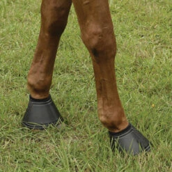 EquiFit Essential Bell Boot 15 EquiFit Essential Bell Boot -Farm House Tack Store 11269 EquiFit Essential.Bell .Boot Fleece.Rolled4