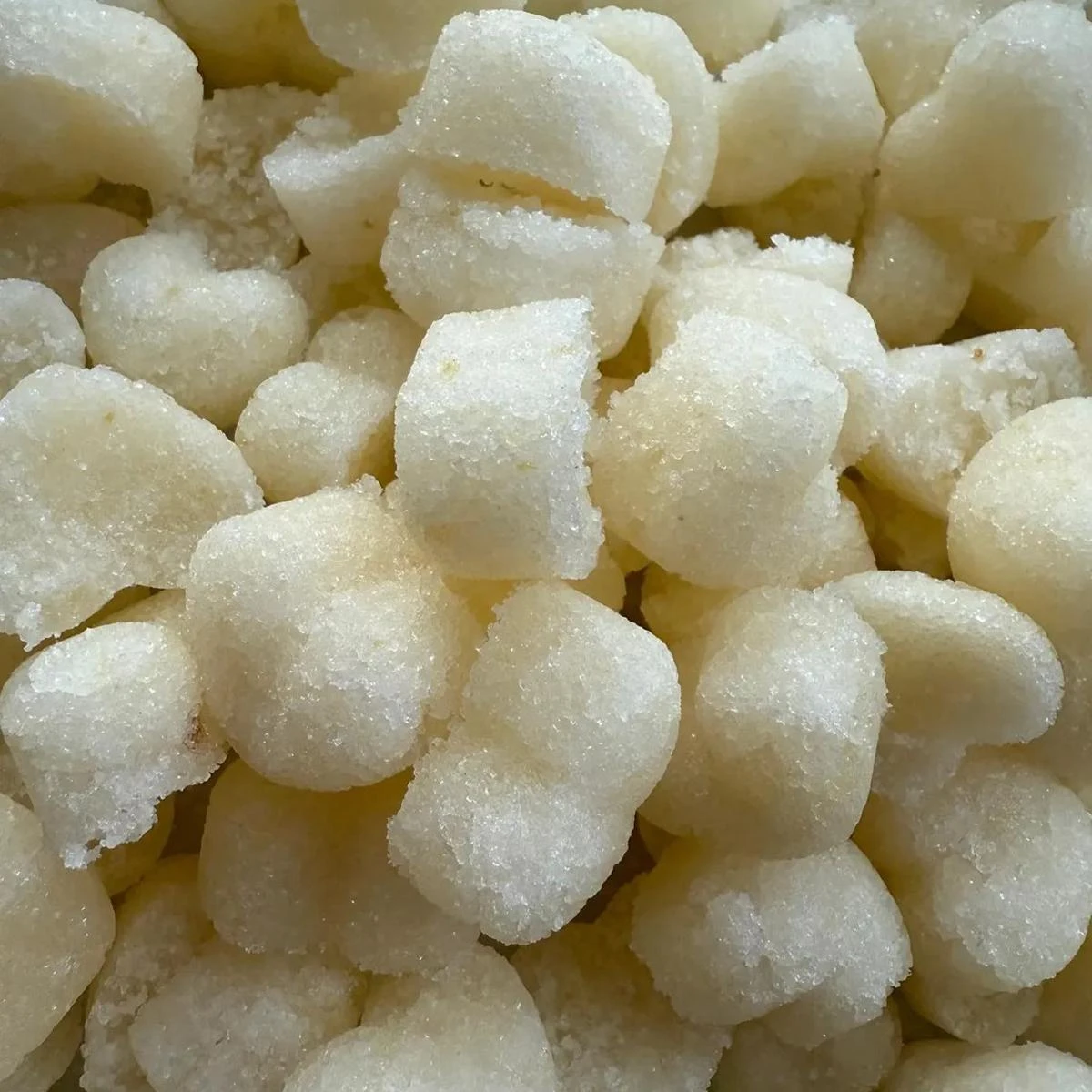 Dapper Darling Horse Treats 17 Dapper Darling Horse Treats - Image 15