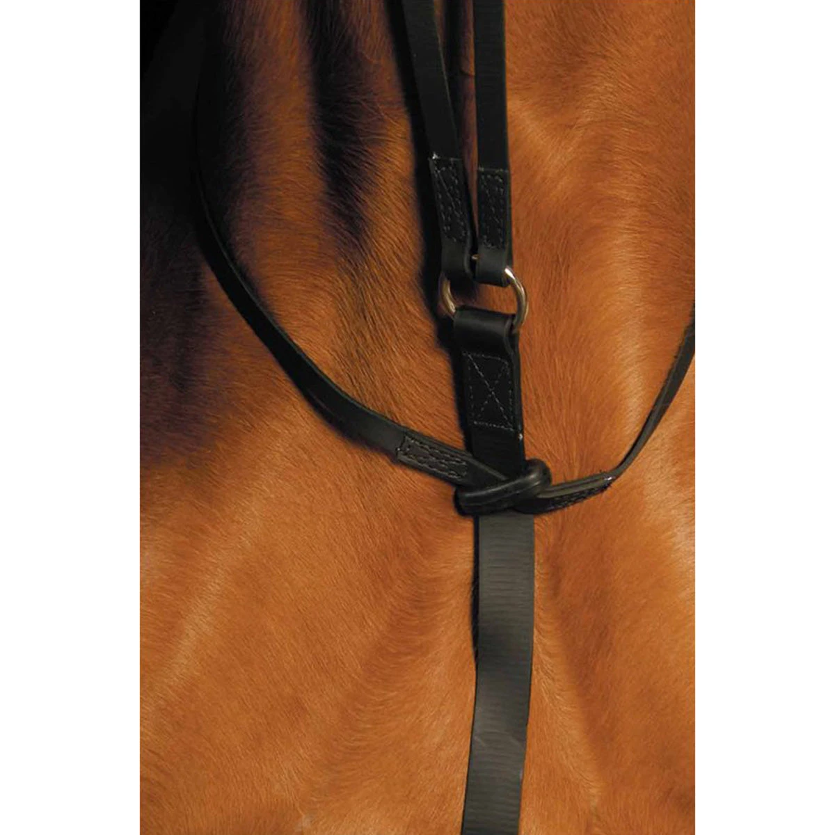 Wintec Running Martingale 5 Wintec Running Martingale - Image 3