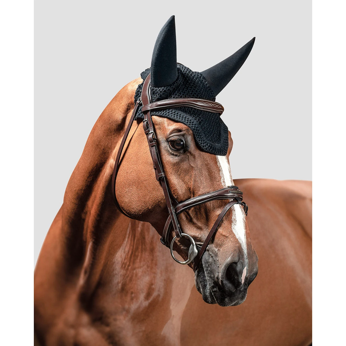 Equiline Dave Soundproof Ear Net 5 Equiline Dave Soundproof Ear Net - Image 3