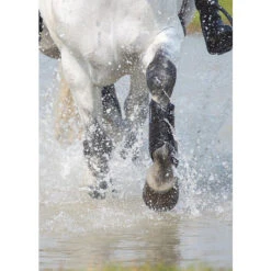 Arma Cross Country Front Boots 7 Arma Cross Country Front Boots -Farm House Tack Store 1894 Shires Arma.Cross .Country.Front .Boots Black LS