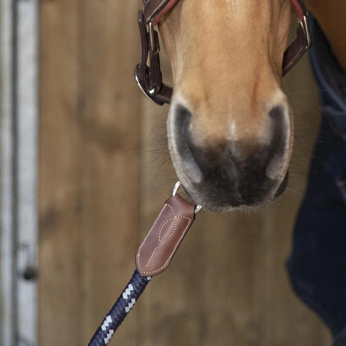 Antares Signature Lead Rope 4 Antares Signature Lead Rope - Image 2