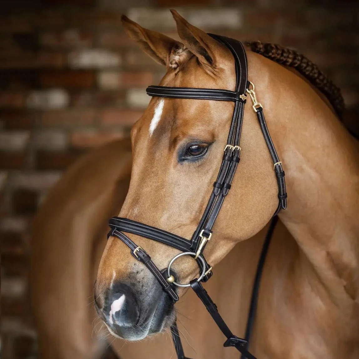 LeMieux Kudos Work Bridle 7 LeMieux Kudos Work Bridle - Image 5