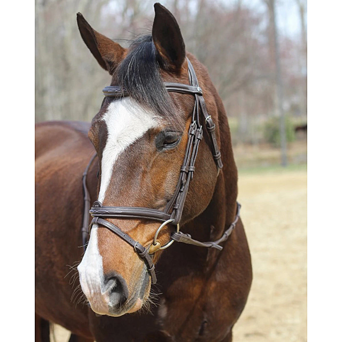 HDR Kushy Bridle With Detachable Flash 4 HDR Kushy Bridle With Detachable Flash - Image 2