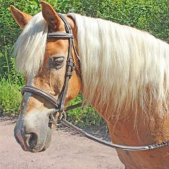 HDR Pro Fancy Raised Comfort Crown Padded Bridle With Fancy Raised Reins 5 HDR Pro Fancy Raised Comfort Crown Padded Bridle With Fancy Raised Reins -Farm House Tack Store 2483 JPC Fancy.Raised.Comfort.Crown .Padded.Bridle.With .Fancy .Raised.Reins2