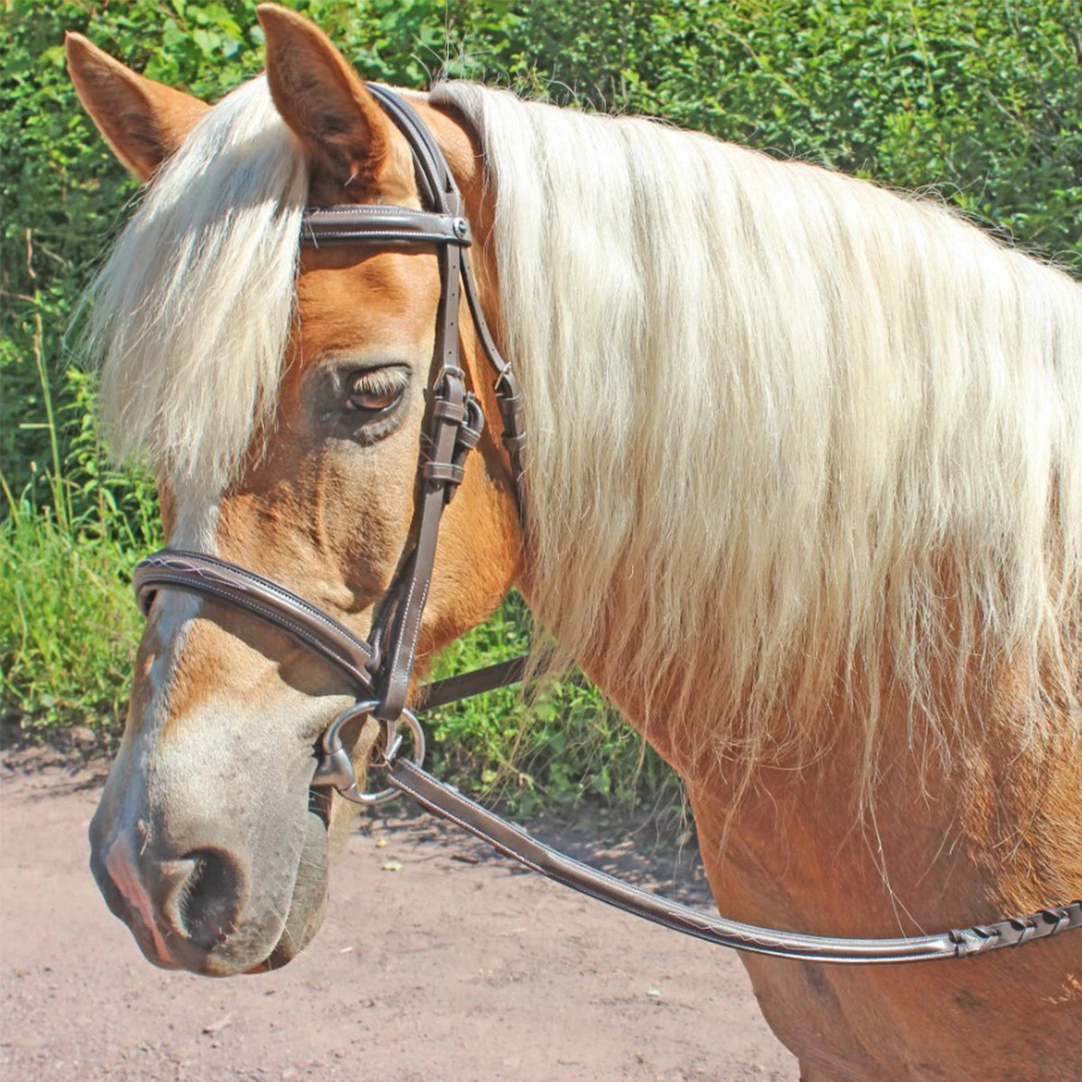 HDR Pro Fancy Raised Comfort Crown Padded Bridle With Fancy Raised Reins 4 HDR Pro Fancy Raised Comfort Crown Padded Bridle With Fancy Raised Reins - Image 2