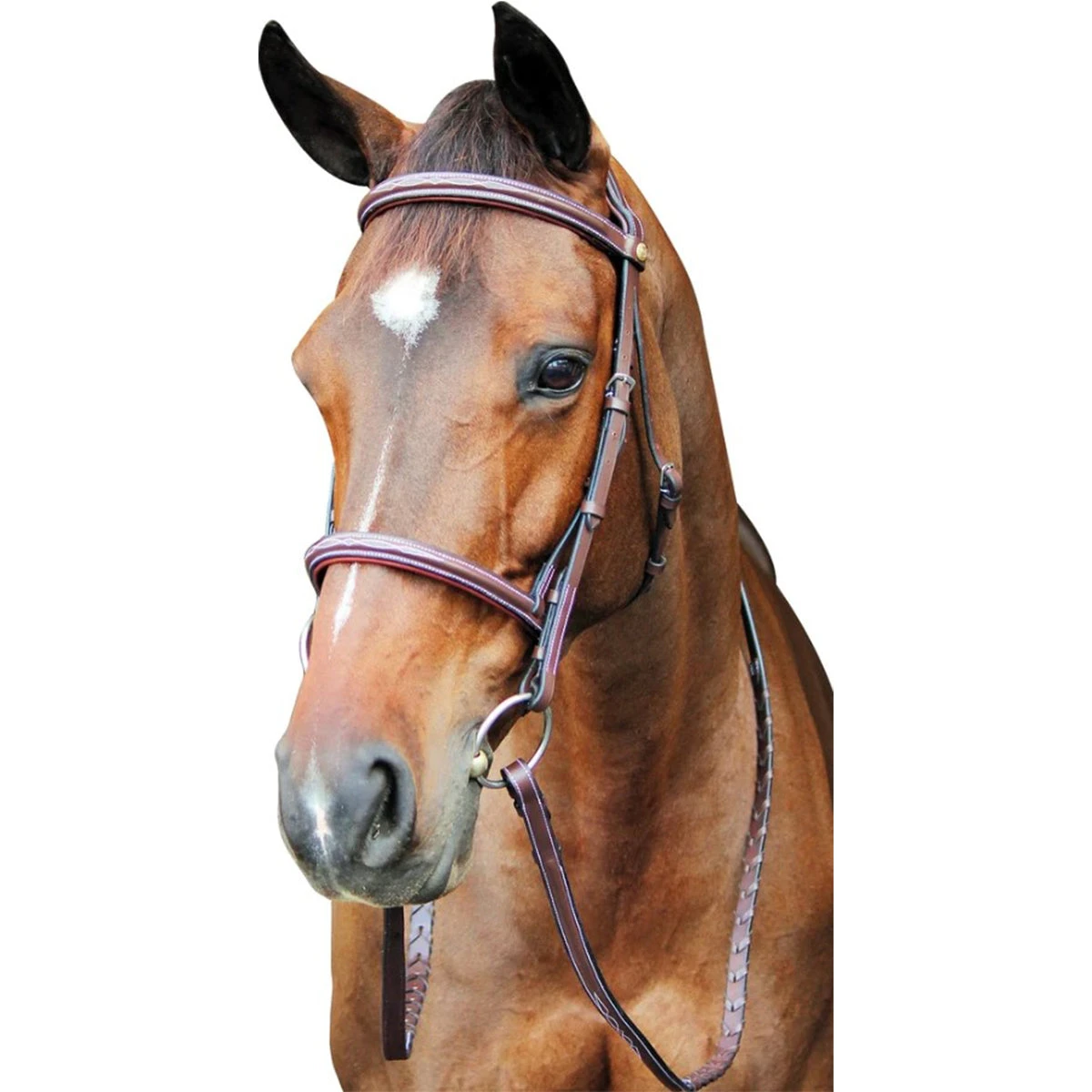 HDR Pro Fancy Raised Comfort Crown Padded Bridle With Fancy Raised Reins 3 HDR Pro Fancy Raised Comfort Crown Padded Bridle With Fancy Raised Reins