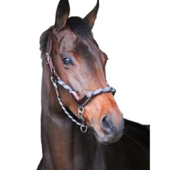 Jump'in Travel Halter - One Collection