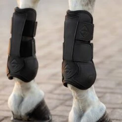 LeMieux Capella Tendon Boots 25 LeMieux Capella Tendon Boots -Farm House Tack Store 26fbdd82f7c1cbd49fb47c27dbbc1f52