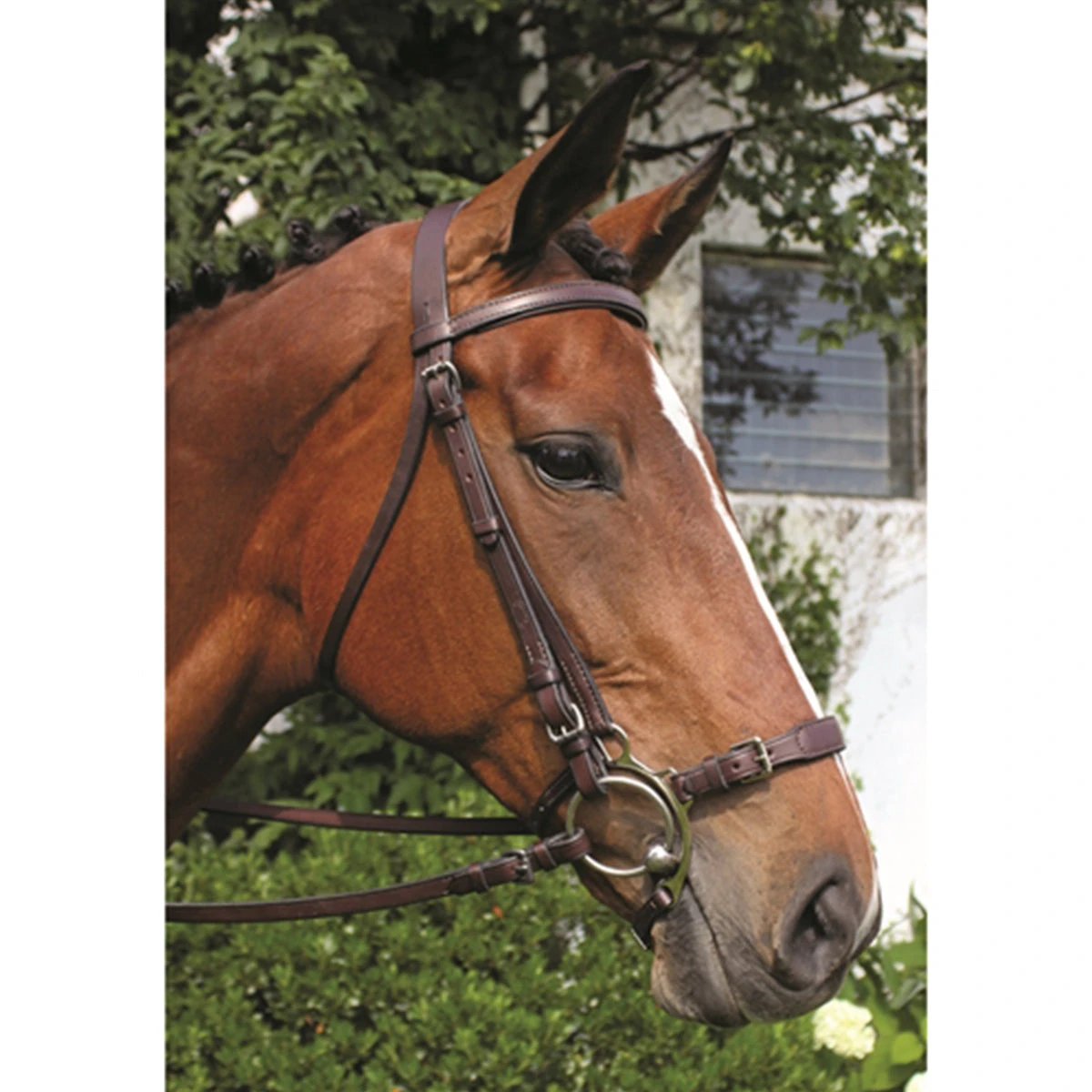 Nunn Finer Adjustable Lever Noseband 5 Nunn Finer Adjustable Lever Noseband - Image 3