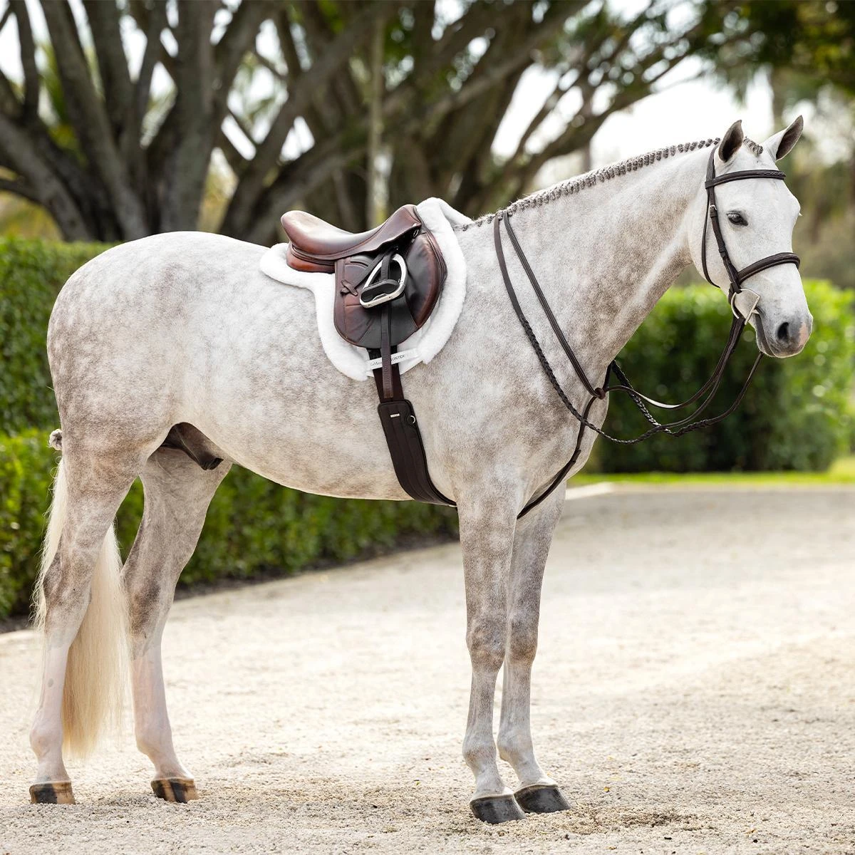 LeMieux Hunter Girth With Detachable Non-Slip Liner 11 LeMieux Hunter Girth With Detachable Non-Slip Liner - Image 9