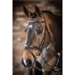 LeMieux Kudos Competition Flash Bridle 8 LeMieux Kudos Competition Flash Bridle -Farm House Tack Store 2b3cf517bbc5ff65b62ace9d1b3c51b7