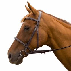 HDR Pro Mono Crown Padded Fancy Bridle -Farm House Tack Store 2bbdfea2 14b2 4fa6 992c d1c4c090eeb1