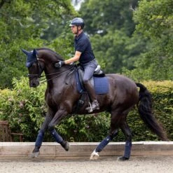 LeMieux Suede Dressage Square Pad 36 LeMieux Suede Dressage Square Pad -Farm House Tack Store 2c8fb9a5 dd5e 4b95 8968 6e5bcd5255a1