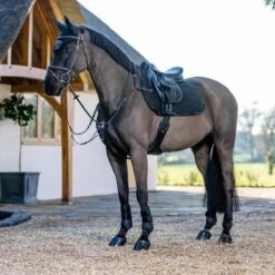 LeMieux GP Work Pad 14 LeMieux GP Work Pad -Farm House Tack Store 306a9ea8 90df 4258 b35a 097bc31444d3