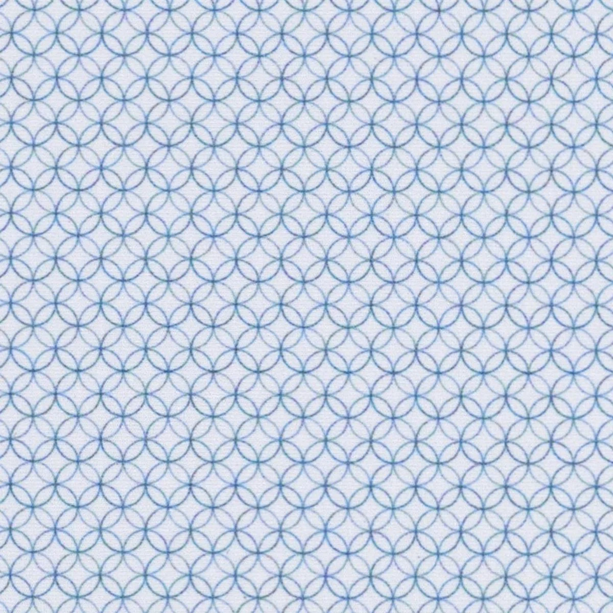 RJ Classics Women's Tessa Short Sleeve Show Shirt 7 RJ Classics Women's Tessa Short Sleeve Show Shirt - Image 5