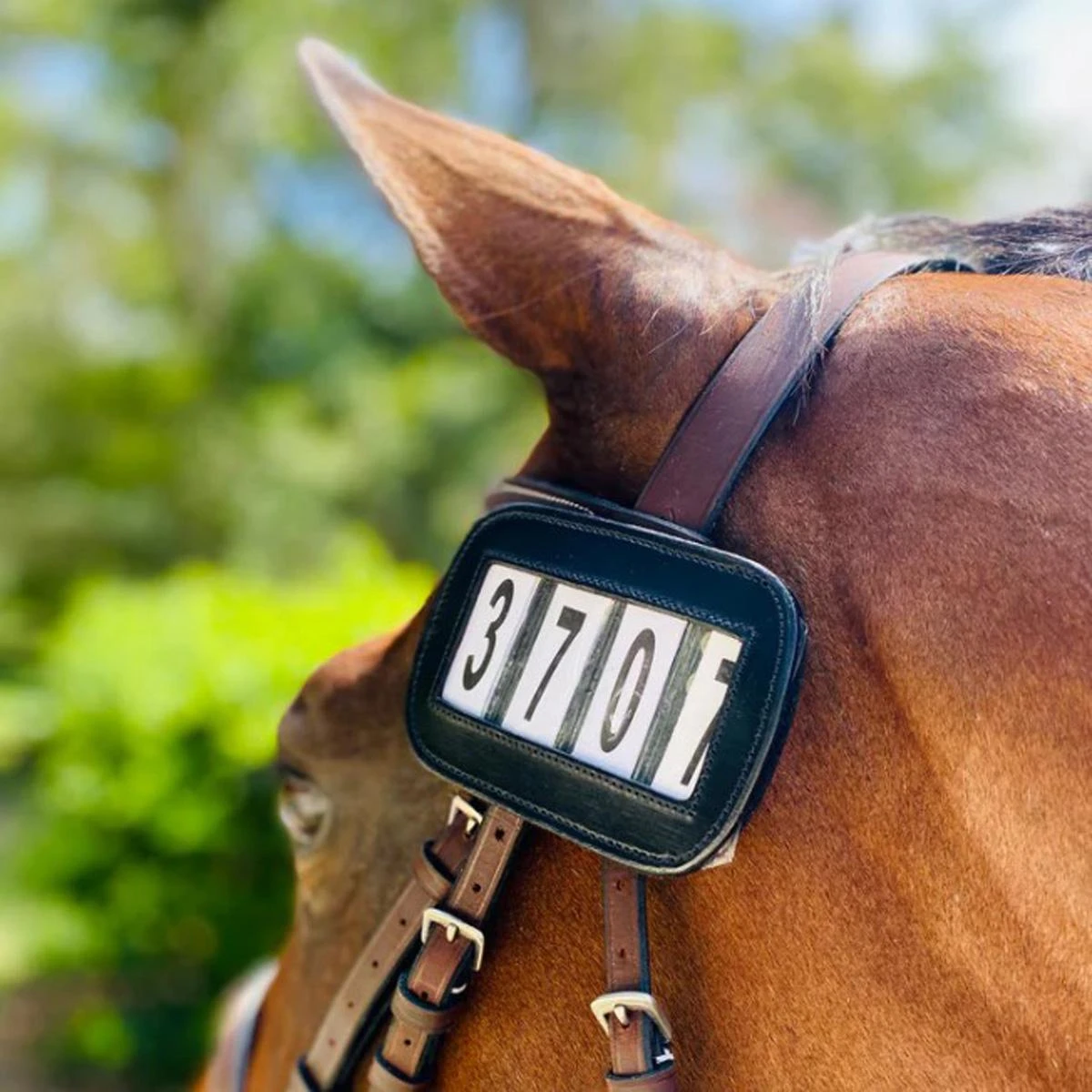 ACE Equestrian Pro4mance Four Digit # I.D. 11 ACE Equestrian Pro4mance Four Digit # I.D. - Image 9