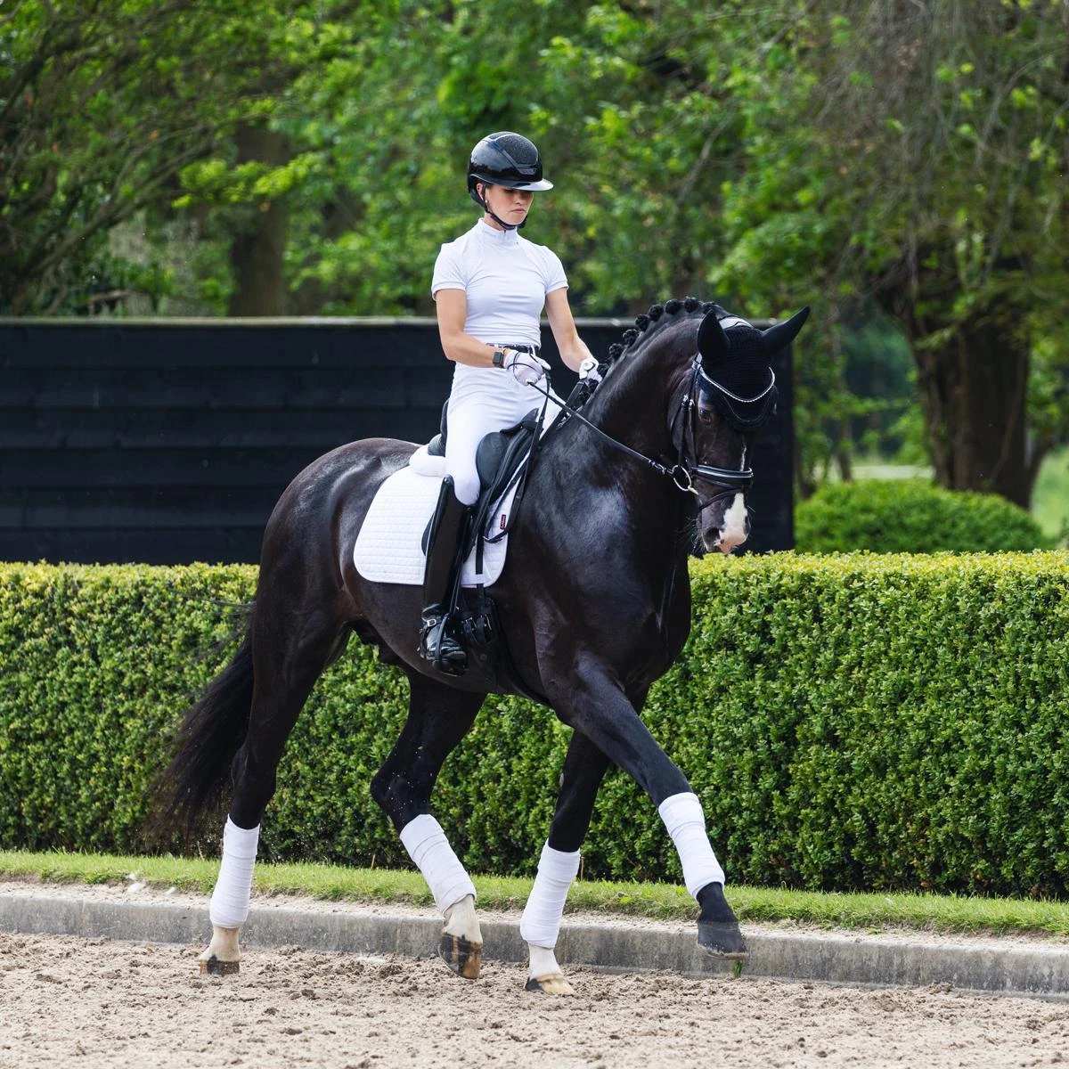 LeMieux Suede Dressage Square Pad 21 LeMieux Suede Dressage Square Pad - Image 19