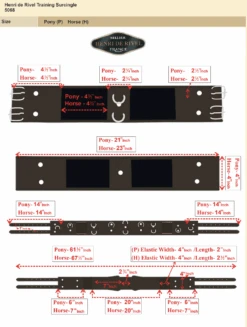 HDR Training Surcingle -Farm House Tack Store 4682c39732bc315fe685d195718a24e4