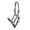 Walsh Showman Pony Halter 1 Walsh Showman Pony Halter -Farm House Tack Store 4700 Walsh Showman.Halter