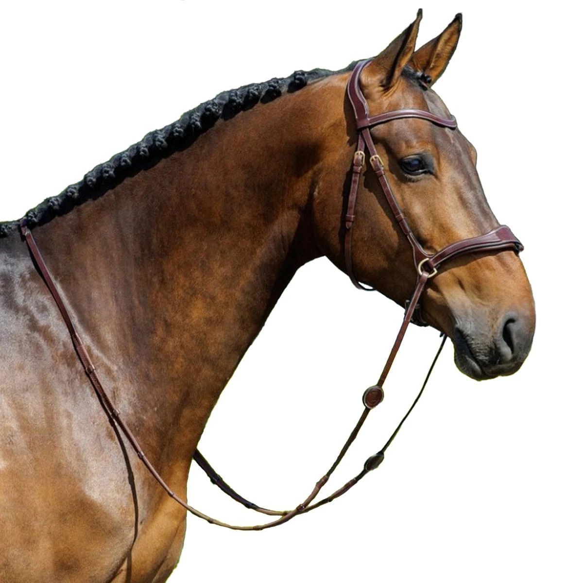 Trust Falsterbo Bridle 4 Trust Falsterbo Bridle - Image 2