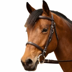 Nunn Finer Event Bridle 18 Nunn Finer Event Bridle -Farm House Tack Store 493fde62 0a11 4863 823c 8c8e648dcb4f