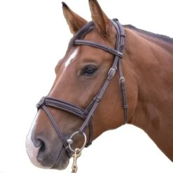 Penelope Elegance Bridle