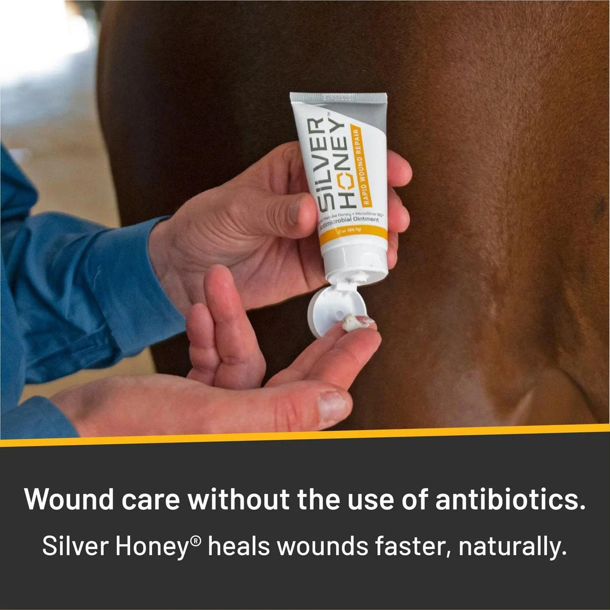 Silver Honey Hot Spot & Wound Care Ointment 7 Silver Honey Hot Spot & Wound Care Ointment - Image 5