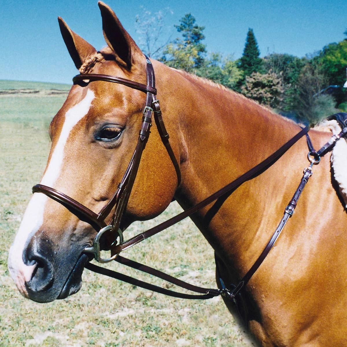 Tory Leather Draw Reins With Breastplate Snaps 3 Tory Leather Draw Reins With Breastplate Snaps