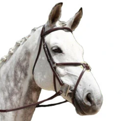 Red Barn By KL Select Equinox Figure 8 Bridle