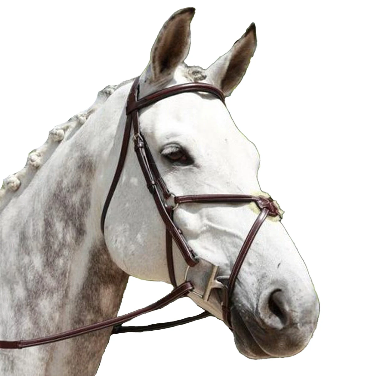Red Barn By KL Select Equinox Figure 8 Bridle 3 Red Barn By KL Select Equinox Figure 8 Bridle