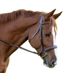 Red Barn By KL Select Ocala Hunter Bridle