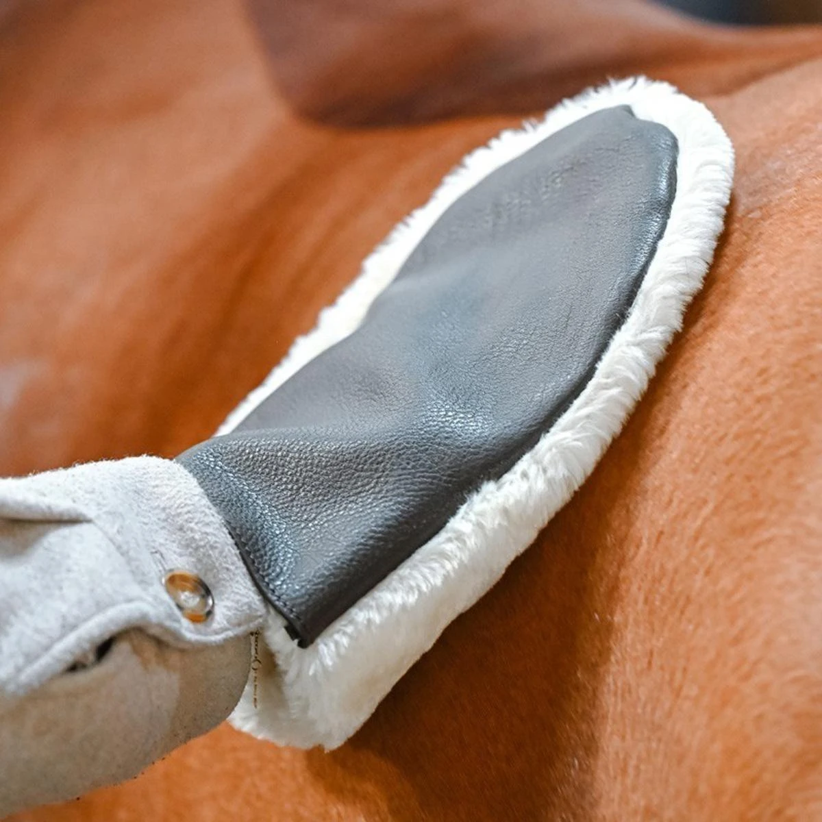 Jump'in Grooming Glove 3 Jump'in Grooming Glove