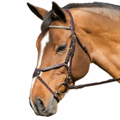 Nunn Finer Figure Eight Bridle 28 Nunn Finer Figure Eight Bridle -Farm House Tack Store 530c1157 a93e 426e bf2f 76ea95b99d45