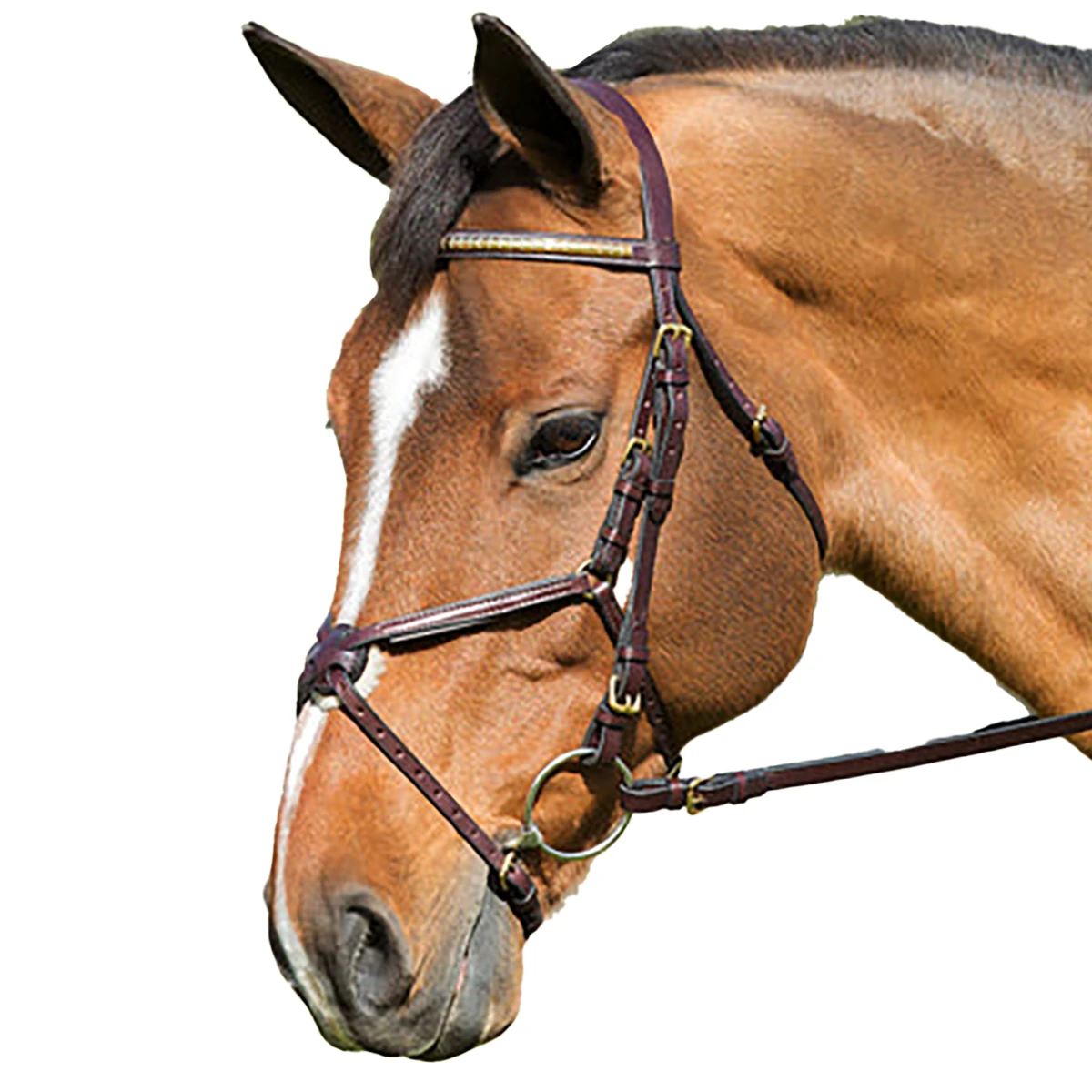Nunn Finer Figure Eight Bridle 15 Nunn Finer Figure Eight Bridle - Image 13