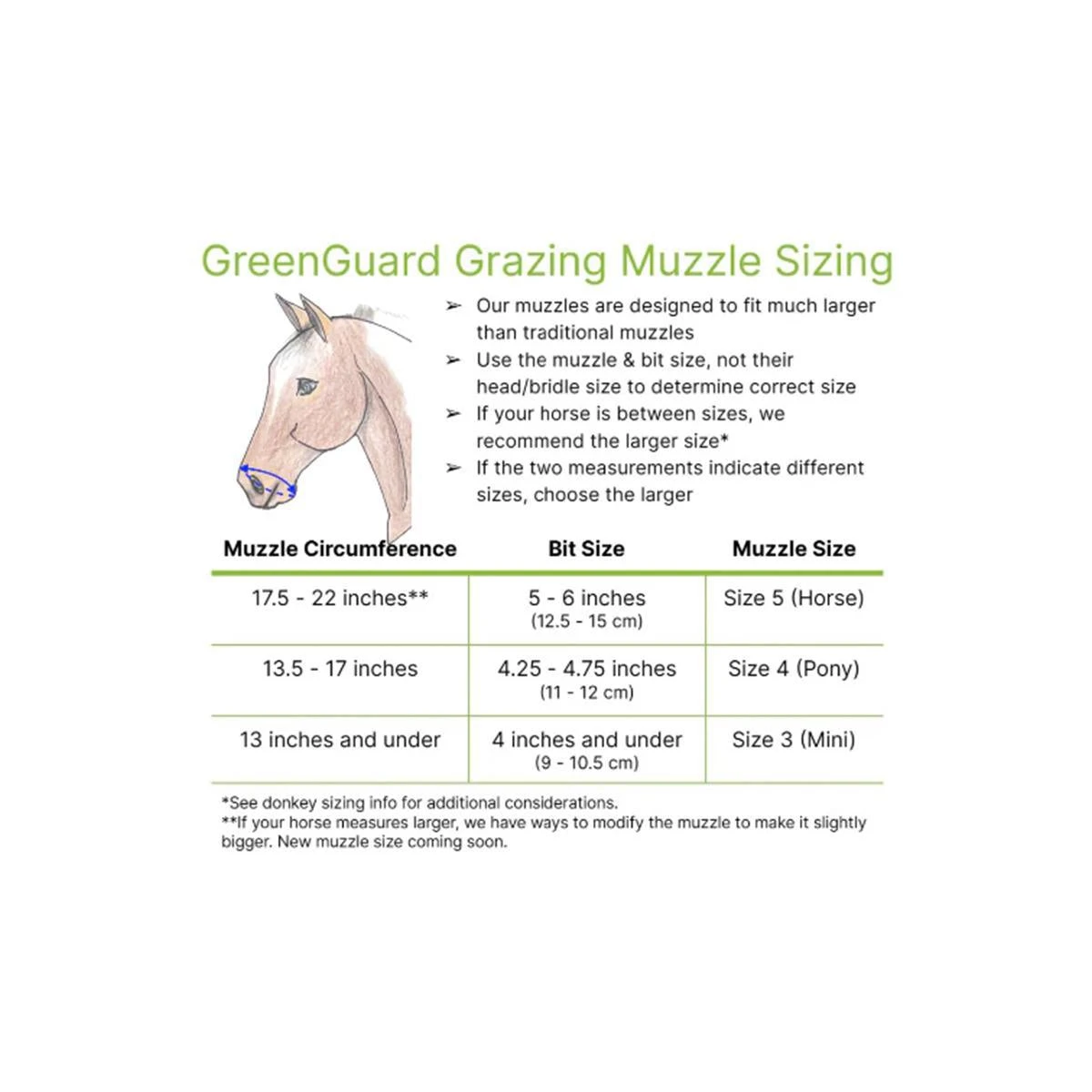GG Equine GreenGuard Grazing Muzzle 6 GG Equine GreenGuard Grazing Muzzle - Image 4