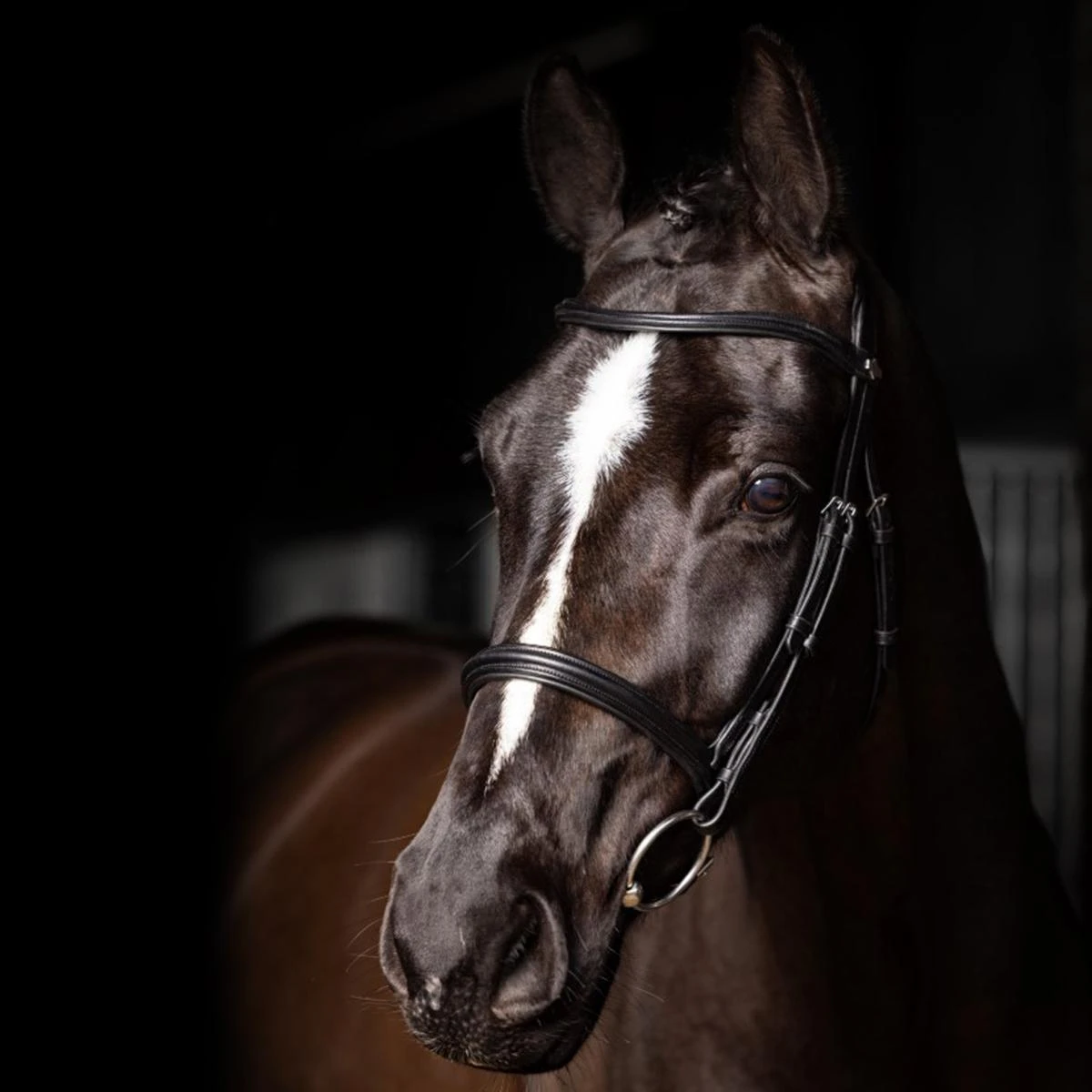 LeMieux Arika Cavesson Bridle 4 LeMieux Arika Cavesson Bridle - Image 2