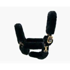 Walsh Shipping Halter 5 Walsh Shipping Halter -Farm House Tack Store 5800 Walsh Shipping.Halter Black Front