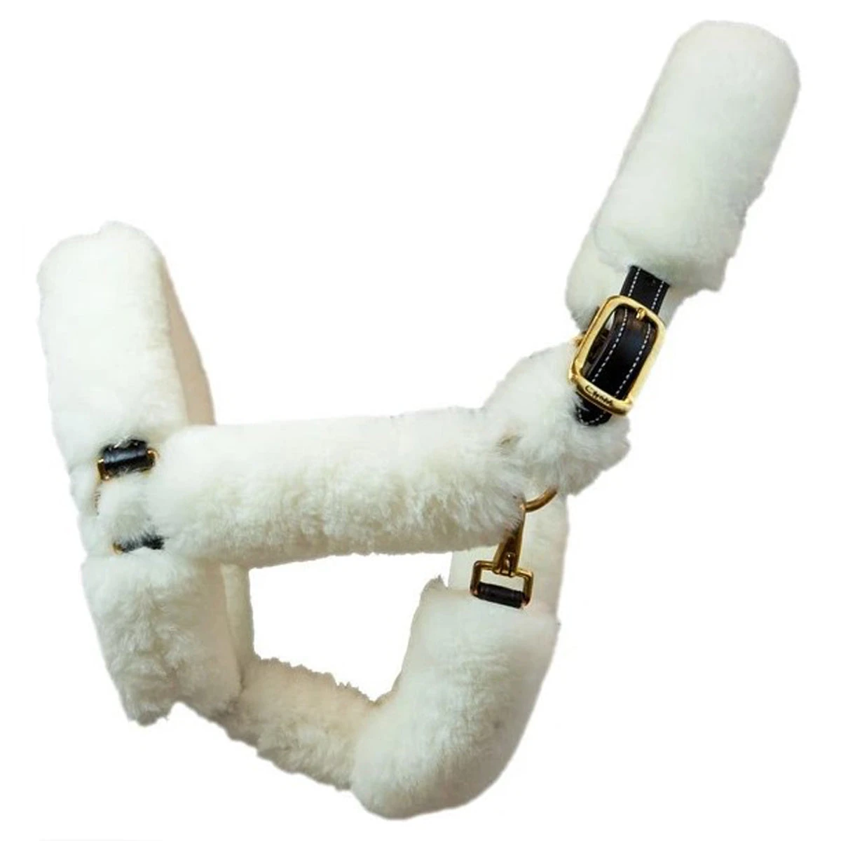 Walsh Shipping Halter 3 Walsh Shipping Halter